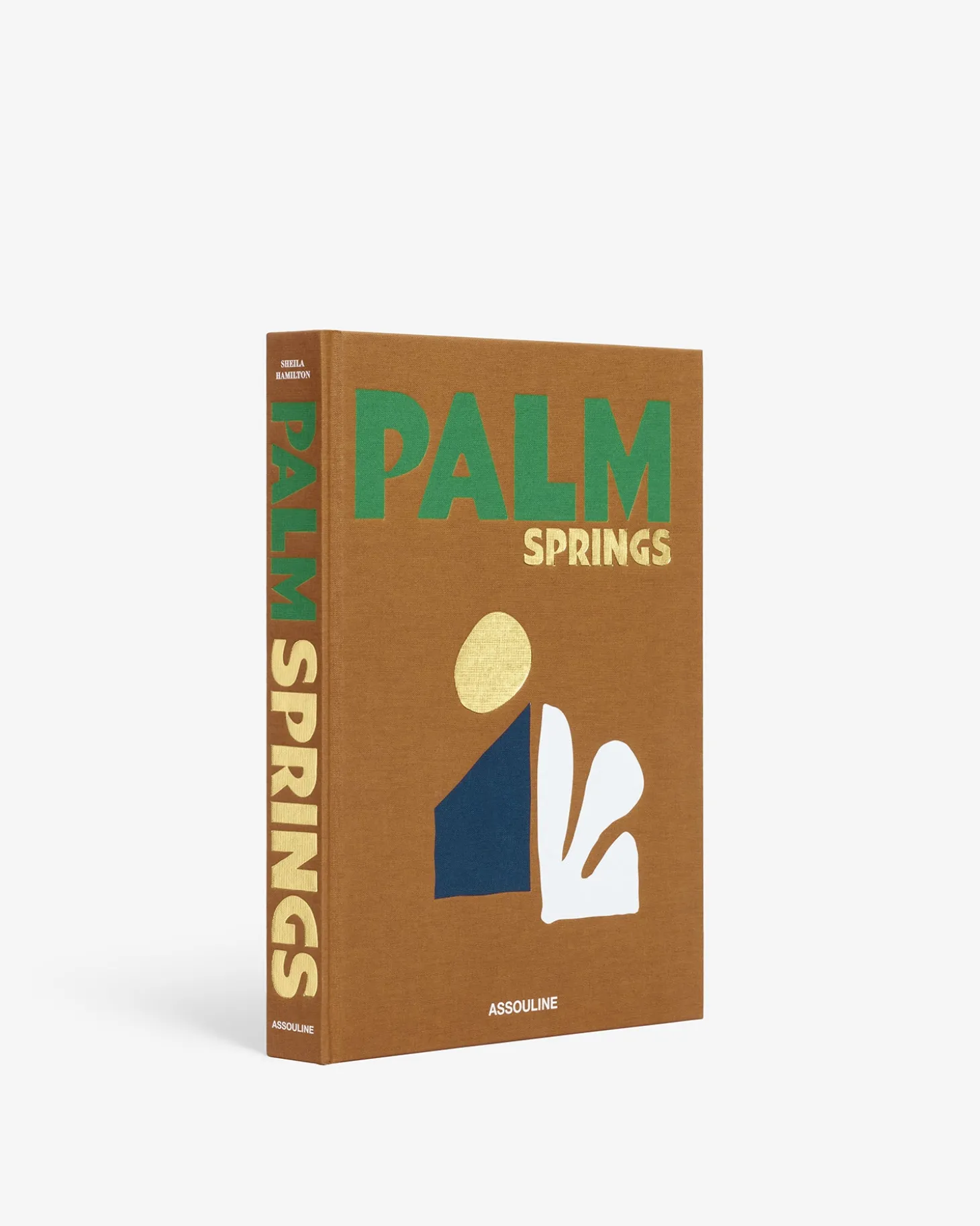 ASSOULINE Travel|Palm Springs