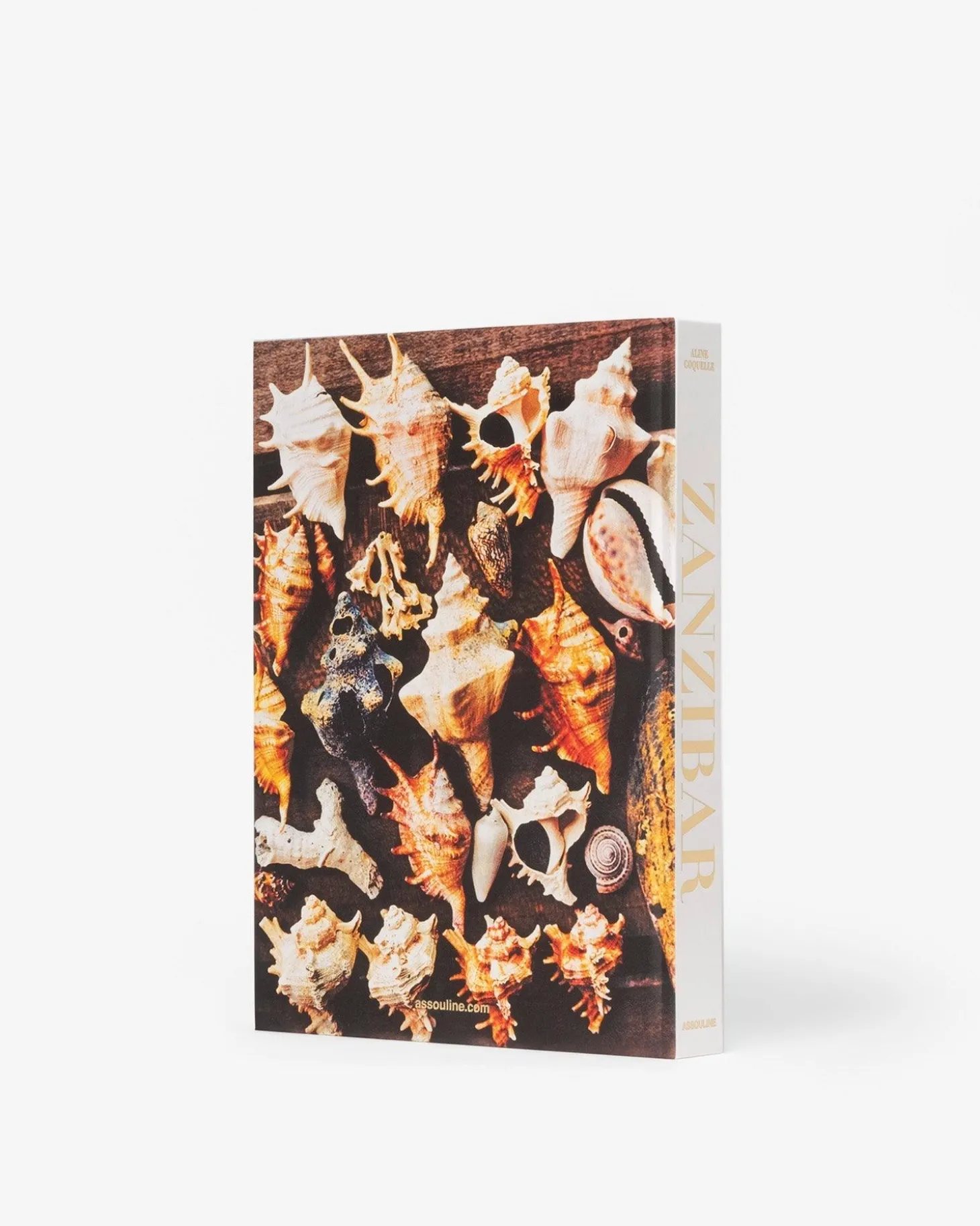 ASSOULINE Travel|Zanzibar